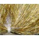 Saltwater Blend Angel Hair - Gold