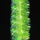 RAINBOW CHENILLE 03 - chartreuse 10mm