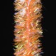 RAINBOW CHENILLE 07 - fluo orange