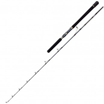 PENN Battalion Solid Boat 6Ft4 12-20Lb 1P1