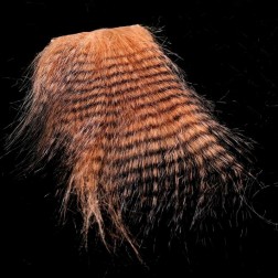 Grizzly Feathered Furabou - sv. hnědá černě pruhovaná