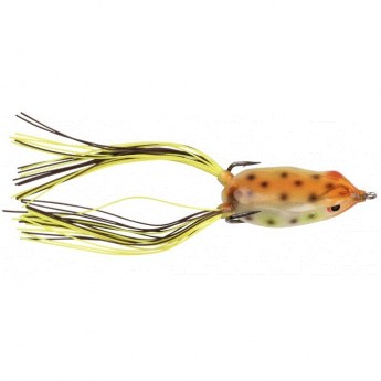 Dean Rojas Bronzeye Frog 65 - Toad