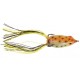 Dean Rojas Bronzeye Frog 65 - Rainforest Yellow